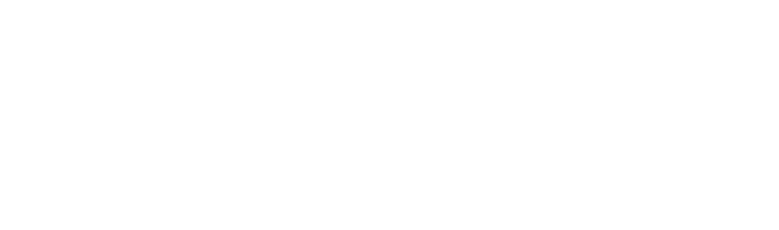 Digital Consulting